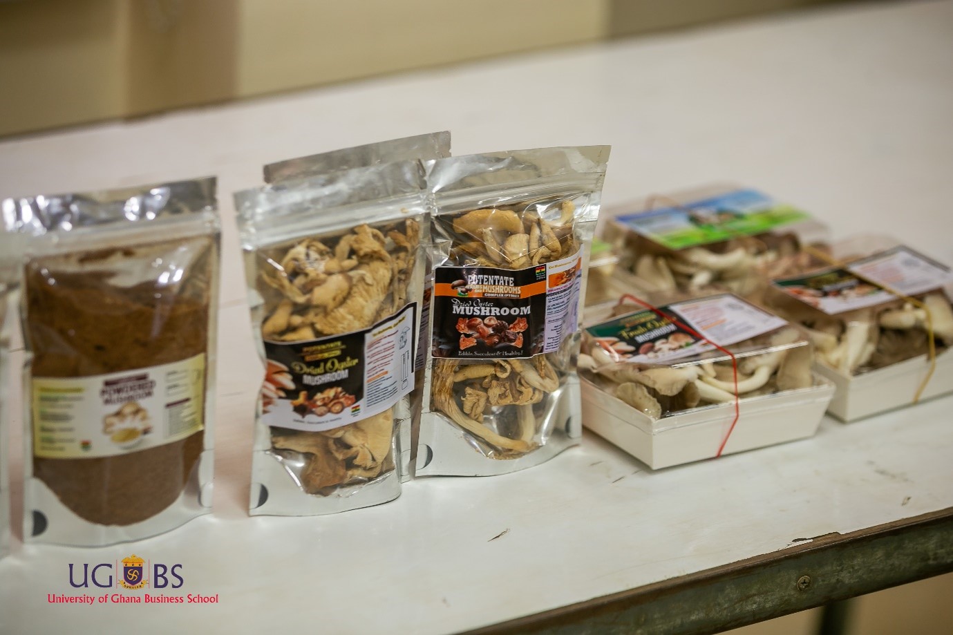 Prof. Alagidede’s Indigenous Enterprises Seminar Explores Mushroom Economy as a Pathway to Jobs, Wealth Creation and Sustainable Economic Development